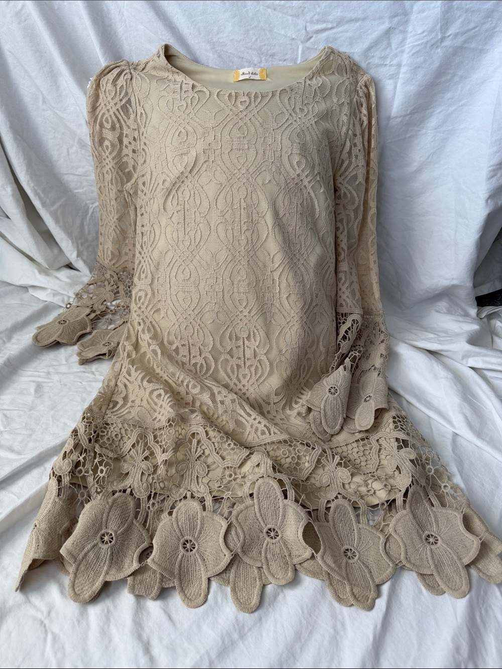 Altar'd State Beige Long Sleeve Lace Dress